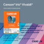 CANSON Iris Vivaldi - Paquet 25 feuilles de papier A3 - 185g/m² - Assortiment de vert