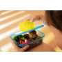 MAPED - Boîte Repas Ecozen 900ml Raton Laveur - Hermétique et Durable - Ouverture Facile avec Clip Fluo - Passe au Micro-Ondes e
