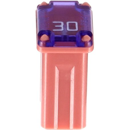 Restagraf - Fusible J-Case Micro pour Automobile - Puissance 30 A - 32 V - Réf. 17363 - Sachet de 2