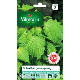 Vilmorin - Shiso Vert -Plante annuelle - Facile à réussir - Feuilles Graphiques décoratives -Incontournable dans la Cuisine Japo