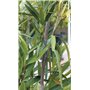 Rouleau de lien plastique armé 30M