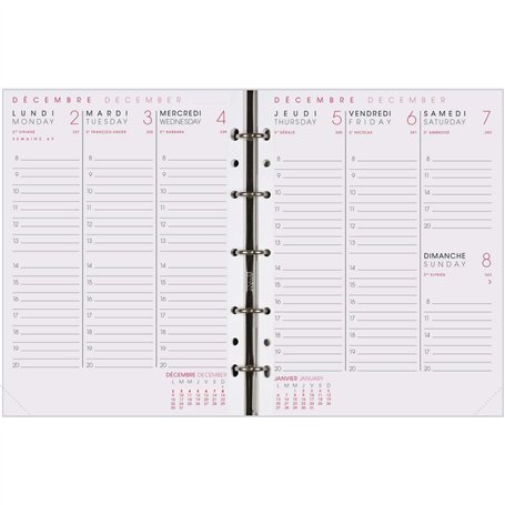 Agenda Moderne - 830030Q - 1 Recharge INT ABA SEM - de Janvier à Décembre 2025 - Format 15 x 20 cm - Bilingue