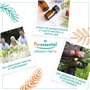 Puressentiel Articulations et Muscles, Friction Arnica aux 14 Huiles Essentielles, Formule 100 pourcent d'Origine Naturelle, Men