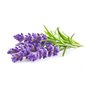 Flacon 27ml parfum liquide pour bougie et savon - Lavande