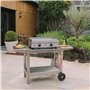 KRAMPOUZ Plancha Gaz SAVEUR - Plaque de Cuisson en Inox 64 x 33 cm - 3400 Watts - 2 Zones de Cuisson - 2 Brûleurs en Acier Inoxy