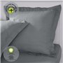 Taie d'oreiller - TODAY - 63 x 63 cm - Coton bio - Certifié GOTS - oeko-Tex