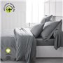 Taie d'oreiller - TODAY - 63 x 63 cm - Coton bio - Certifié GOTS - oeko-Tex