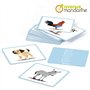 MY MANDARINE JE513C - un jeu éducatif de 24 cartes multilingues (10 langues) - À partir de 2 ans - IMAGIER Animaux familiers