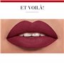 BOURJOIS - Rouge À Lèvres Rouge Velvet The Lipstick 44 Opéra Garnet - Ultra Pigmenté - Fini Mat Intense - Longue Tenue 24H - App