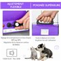 PawHut Séchoir Professionnel sèche-Poils toilettage pulseur sèche-Cheveux pour Chiens Chats Animaux 2800W Vitesse et température