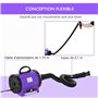 PawHut Séchoir Professionnel sèche-Poils toilettage pulseur sèche-Cheveux pour Chiens Chats Animaux 2800W Vitesse et température
