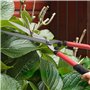 Outsunny Lot de 3 cisailles de jardin, ensemble de coupe pour jardinage, coupe-branches de 65 cm, taille-haie de 51,5 cm, sécate