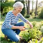 Outsunny Lot de 3 cisailles de jardin, ensemble de coupe pour jardinage, coupe-branches de 65 cm, taille-haie de 51,5 cm, sécate