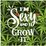 CALLVIN | Pack de 5 Préservatifs Weed 1 | Personnalisés Mesure ton Plaisir | Idée de Cadeau Drôle | Pour des Moments Amusants et