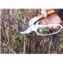 Greentech - Lot de 2 Lames de Rechange pour Sécateur de Jardin à Crémaillère - 2 Ressorts - Accessoires de Montage - Lame et Res