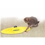CAT'S MIAOU Le Jeu sous Forme de Tapis Souris pour Chat - Vu à la Télé