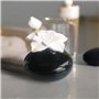 Diffuseur de Parfum par Capillarité Fleur Narcisse Rouge – Diffuseur Huile Essentielle Parfum d’Ambiance et Senteurs Maison – Va