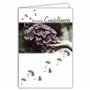 64-1038 Carte Sincères Condoléances avec Enveloppe Blanche - Argenté Brillant Fleur Hortensia - Graphisme Contemporain Deuil Déc