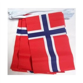 AZ FLAG - Guirlande Drapeau Norvège - 4 Mètres Avec 20 Petits Drapeaux Norvégien De 15x10 cm - Fanion 100% Polyester - 40g