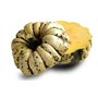 15 graines Bio à semer - Le Grenier d'Abondance - COURGE PATIDOU - Certifié AB - Curcurbita maxima