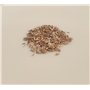 500 graines à semer - Le Grenier d'Abondance - LAITUE BATAVIA Blonde de Paris - Lactuca sativa
