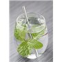 Pailles courtes en INOX 304 | Lot de 10 | Marque française Novela Global (Argent)