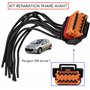 Partsline Faisceau réparation phare avant 10 broches compatible avec 308 I (2007-2014) Berline & SW