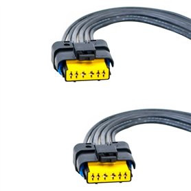 Lot 2 Kits Réparation Connectique Fiche Électrique AVEC Prise Faisceau ET Câblage Pour Module Temic (non inclus) compatible pour