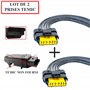 Lot 2 Kits Réparation Connectique Fiche Électrique AVEC Prise Faisceau ET Câblage Pour Module Temic (non inclus) compatible pour