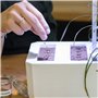 Pack de 2 Lingots Sans Graines - Compatible Potager d'Intérieur Véritable® et Exky® - Recharge Prête à l'Emploi pour vos Expérim