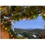 elume Guirlande Guinguette extérieure 12m raccordable 40 lampes multicolores, LED blanc chaud