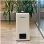 Humidificateur d'air maison, bureau, espace commercial. Humidificateur d'air plante, Humidificateur d'air grand espace jusqu'à 1