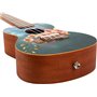 AUC33 Concert Ukulele - Orchid