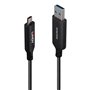 Câble USB LINDY 43395 Noir