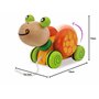 Eichhorn -100005553 - Jouet à Tirer - Tortue - 15 cm