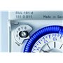 Theben 1610011 SYN 161d Minuteur analogique avec moteur synchrone et programme journalier + carte Micro SD Avantrado 64 Go (clas