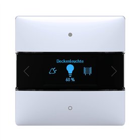 Theben 4969238 iON 108 KNX Régulateur d'ambiance KNX I KNX Data Secure I Capteur tactile pour la domotique 20 fois