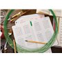 STABILO Stylo feutre pointe fine point 88 - Lot x 10 stylos feutre - Vert De Glace (88/13)