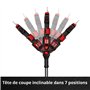 Einhell Professional Sécateur sans fil GP-LS 18/28 Li T BL-Solo Power X-Change (18 V, manche télescopique pour taille à 3,8 m de