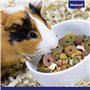 complément ou snack