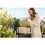 Jardiniere - Balconera color 50 - Kit complet - Brun sable - 8 L - LECHUZA