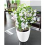Jardiniere - Classico premium LS 21 - Kit complet - Blanc brillant - 3 L - LECHUZA