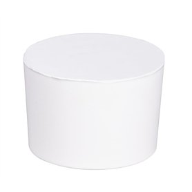 WENKO Déshumidificateur d'intérieur Drop - recharge de 1000 g