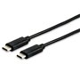 Câble USB-C vers USB-C Equip 12888307 Noir 1 m