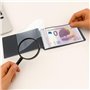 SAFE 233 Album billets de poche avec 20 feuilles transparentes pour stocker 20 à 40 billets max | 210 x 110 x 15 mm