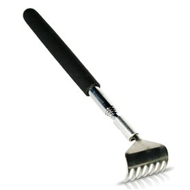 Gratte-dos extensible