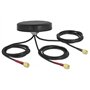 DELOCK ANTENA LTE MIMO WLAN 802.11 3XSMA-St RG-174 1