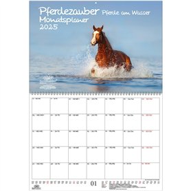 Pferdezauber Calendrier 2025 Motif chevaux sur l'eau Format A2 pour poulain avec 1 calendrier