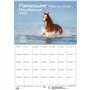Pferdezauber Calendrier 2025 Motif chevaux sur l'eau Format A2 pour poulain avec 1 calendrier