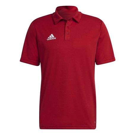 adidas Homme Entrada 22 Polo Shirt